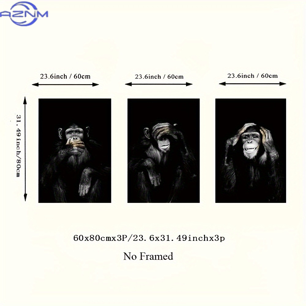3pcs/set Big Size Unframed Ret - đánh giá và giá Photography Black And White